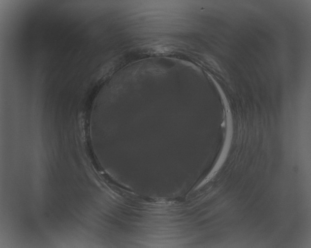 X0000070170366200605301331