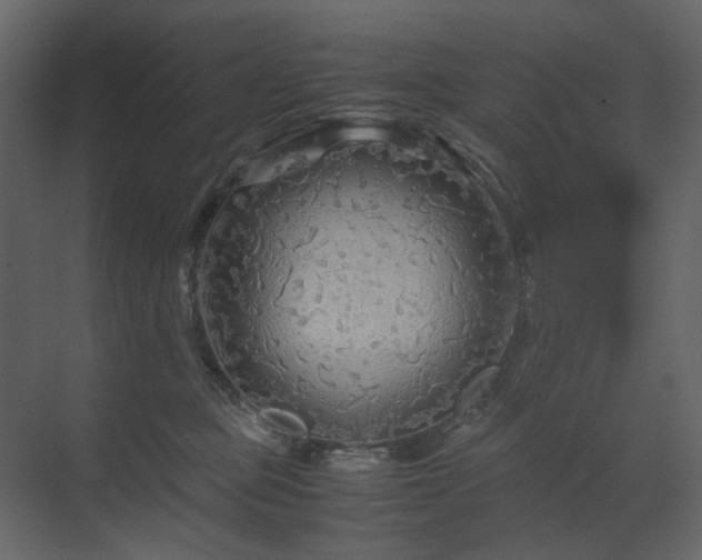 X0000070170373200605301331