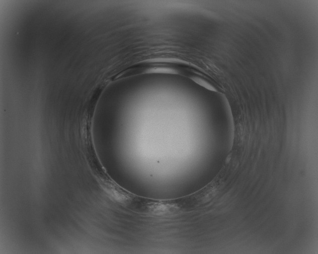 X0000070170379200605301332