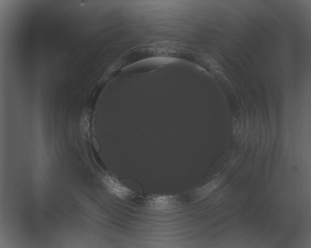X0000070170382200605301332