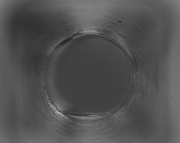 X0000070170385200605301331