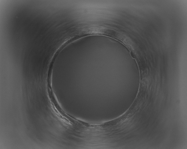 X0000070170386200605301331