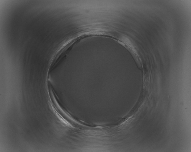 X0000070170389200605301331