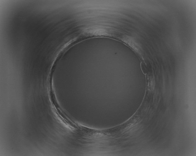 X0000070170390200605301331