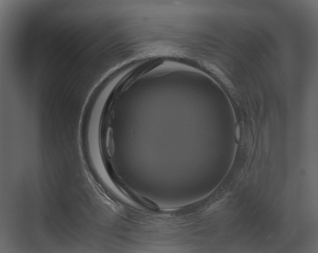 X0000070170391200605301331