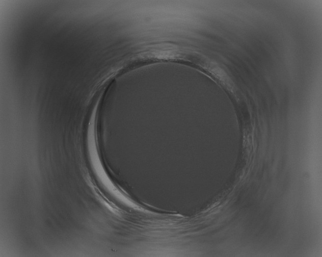 X0000070170397200605301331