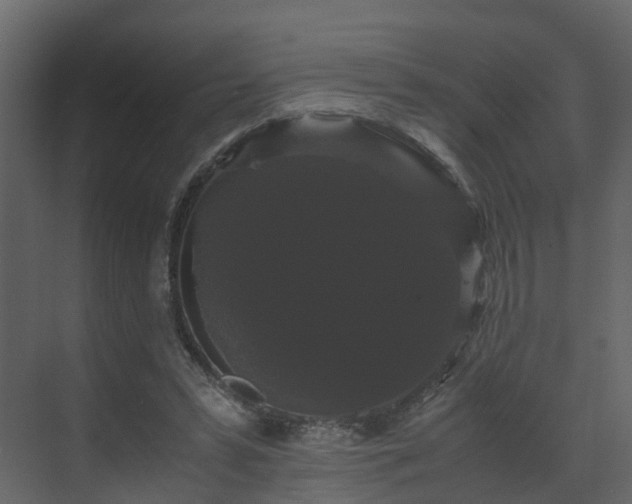 X0000070170399200605301331