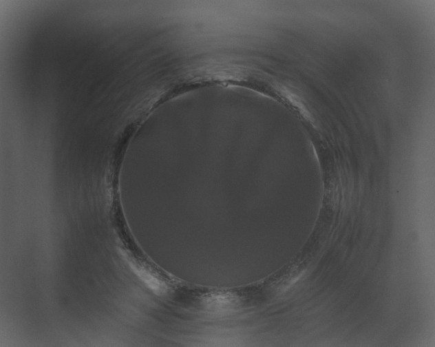 X0000070170402200605301331