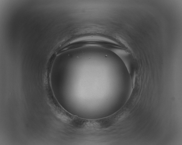 X0000070170403200605301331