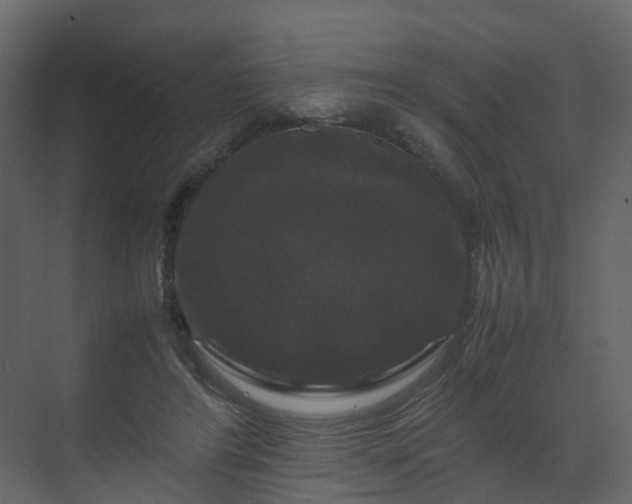 X0000070170404200605301331