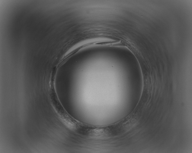 X0000070170406200605301330