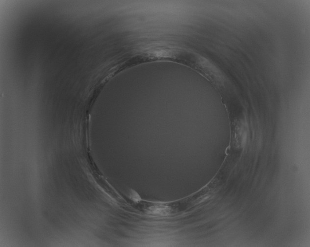 X0000070170410200605301330