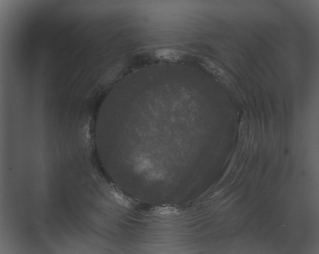 X0000070170424200605301330
