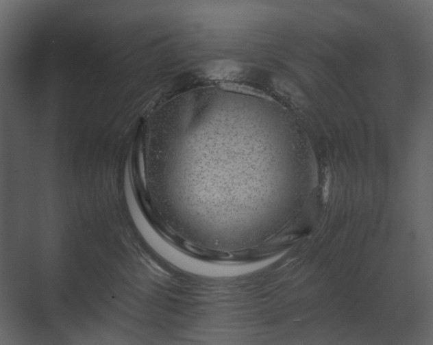 X0000070170428200605301330