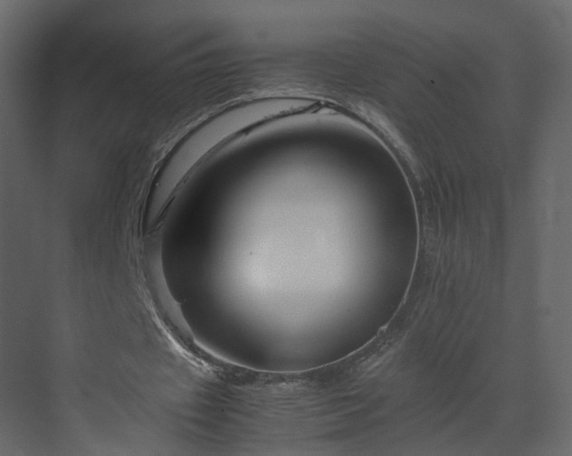 X0000070170433200605301329