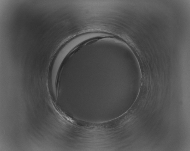 X0000070170434200605301329