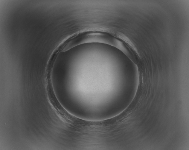 X0000070170436200605301329