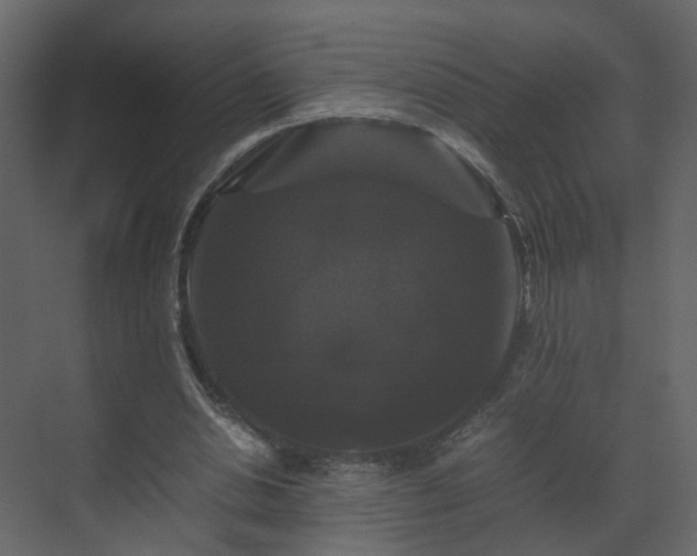 X0000070170438200605301329