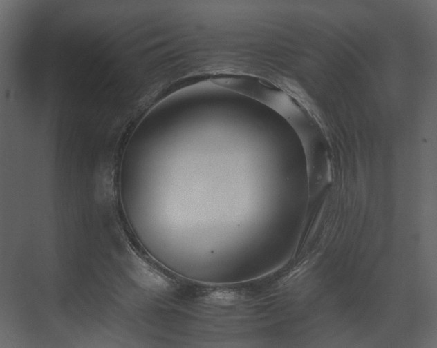 X0000070170441200605301329