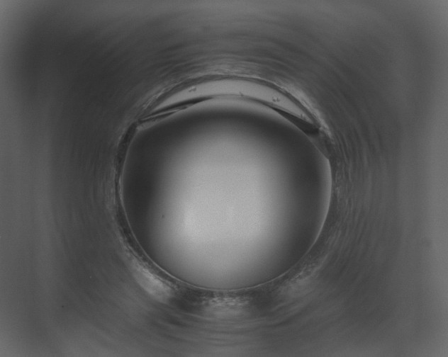 X0000070170445200605301329