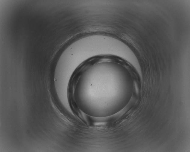 X0000070170448200605301329