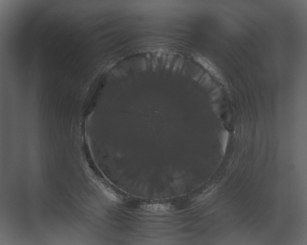 X0000070170449200605301329