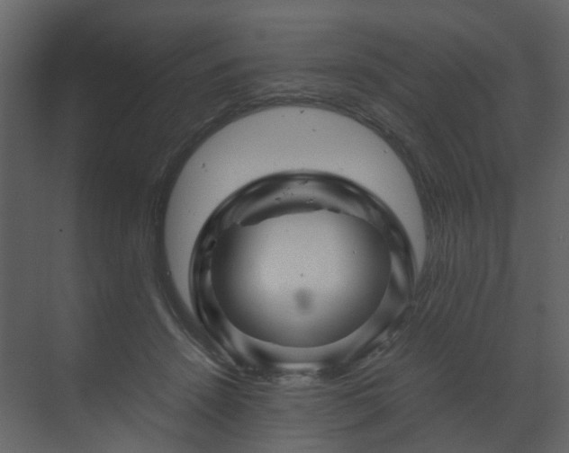 X0000070170456200605301330