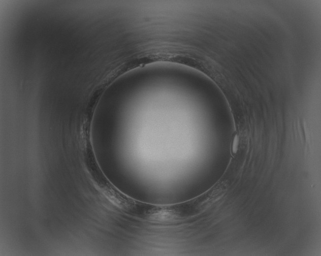X0000070170460200605301330