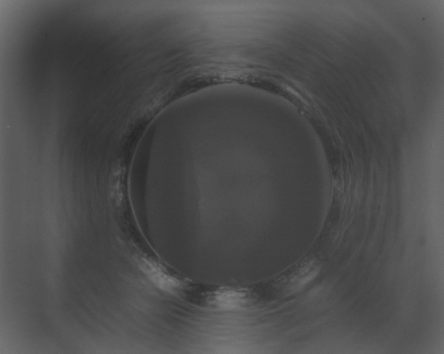 X0000070170462200605301330