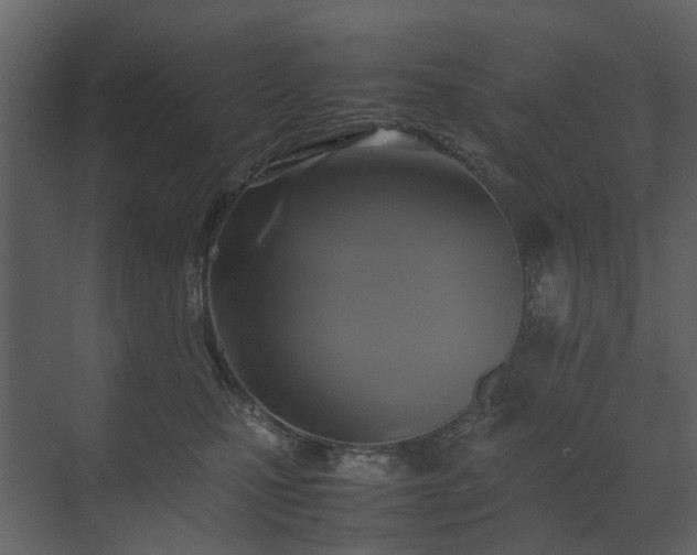 X0000070170471200605301330