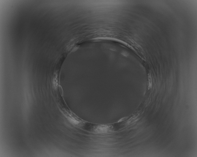X0000070170479200605301330
