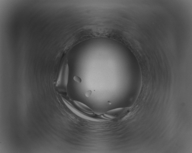X0000070170480200605301330