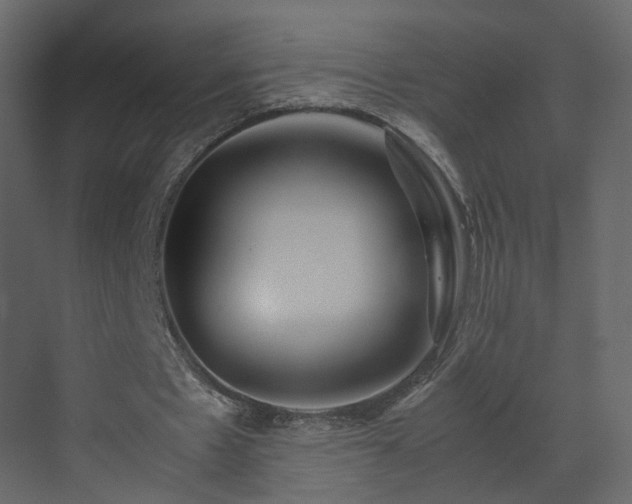X0000070170481200605301329