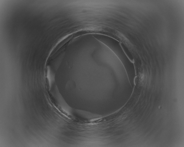 X0000070170484200605301329