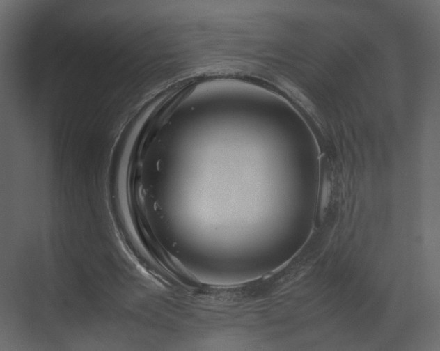 X0000070170485200605301329