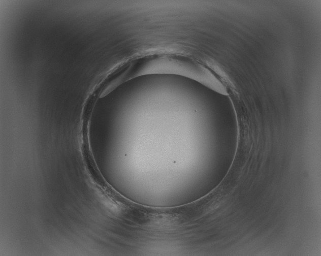X0000070170486200605301329
