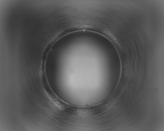 X0000070170490200605301329