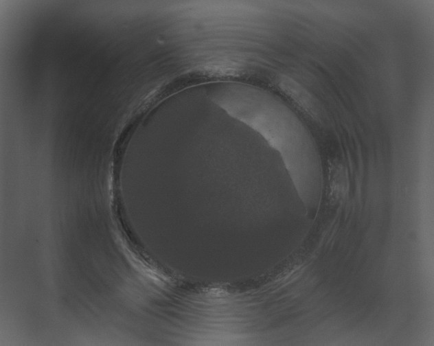 X0000070170494200605301329