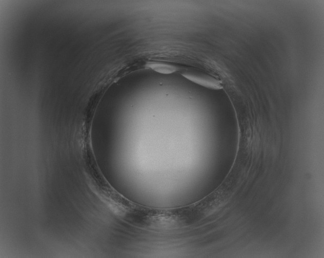X0000070170498200605301329