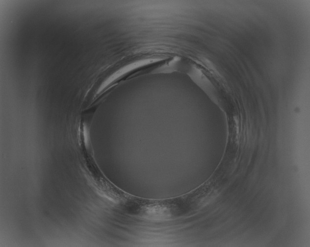 X0000070170500200605301329
