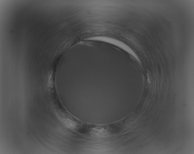 X0000070170502200605301329