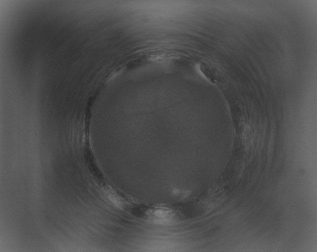 X0000070170506200605301329