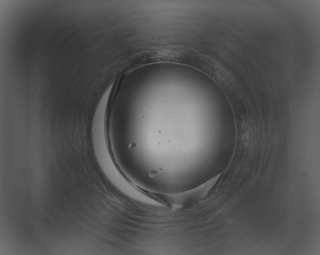 X0000070170514200605301329