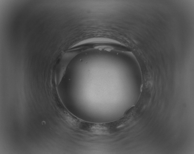 X0000070170515200605301329