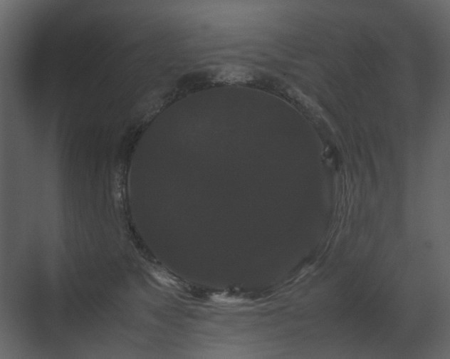 X0000070170517200605301329