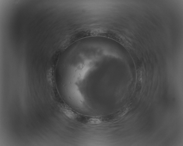 X0000070170519200605301329