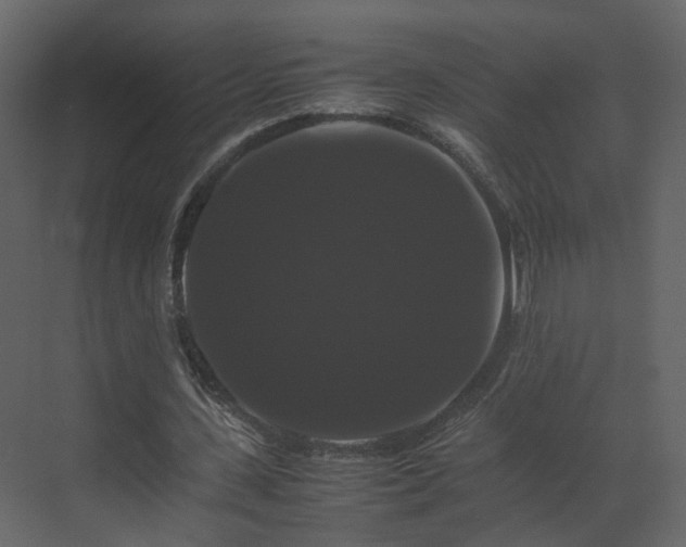 X0000070170531200605301328