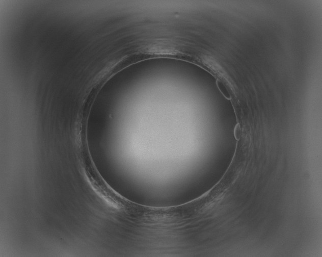 X0000070170533200605301328
