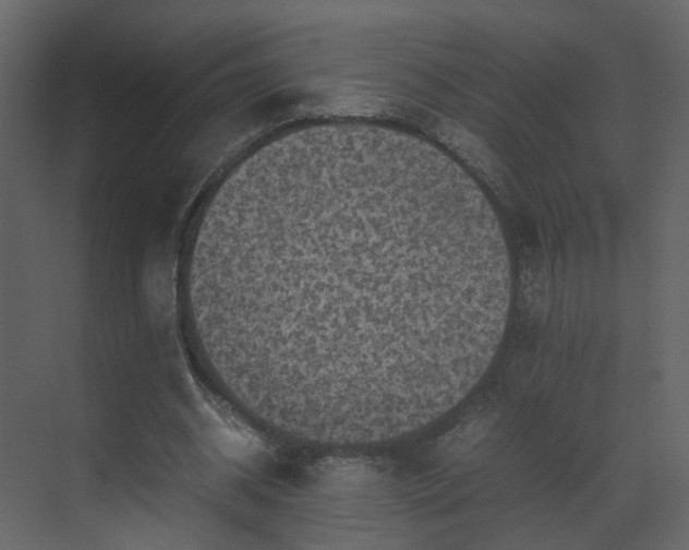 X0000070170534200605301328