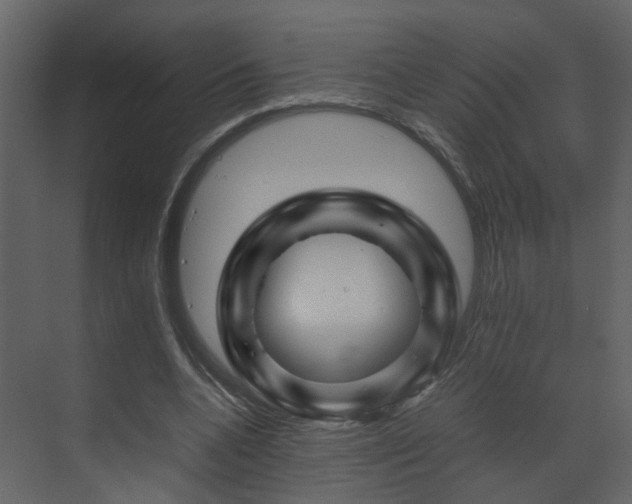 X0000070170536200605301328